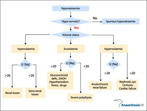 Hyponatremia Serum Na And Causes Hyponatremia Nursing School Renal