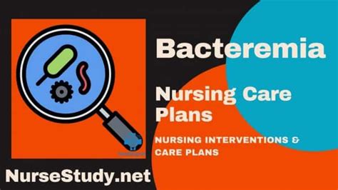 Bacteremia Nursing Diagnosis And Nursing Care Plan Nursestudy Net