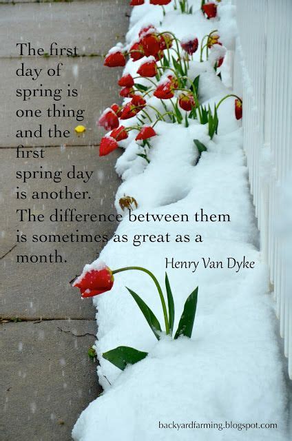 You know spring is in the air when the birds are chirping, the flowers are blooming, and the weather is forecasting yet another inexplicable snow storm. Pin on Just for Fun