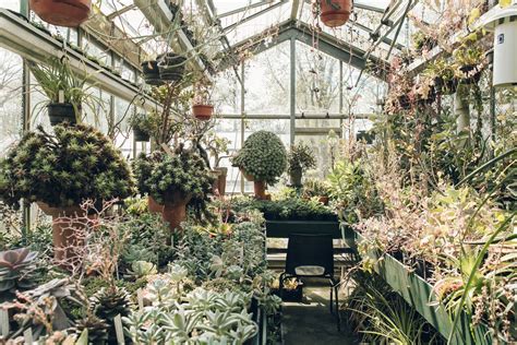Botanische Tuin Zuidas — Amsterdam — Haarkon Tuin Amsterdam Greenhouse