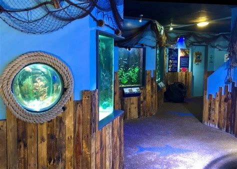 Hastings Aquarium Where To Go With Kids East Sussex