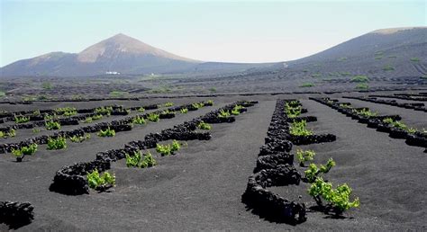 A place where the people are as warm as they are active and proud. Wijn proeven in wijngebied La Geria op Lanzarote