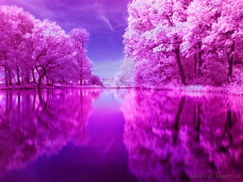 clouds lake Pink reflection – Nature Other HD Desktop Wallpaper