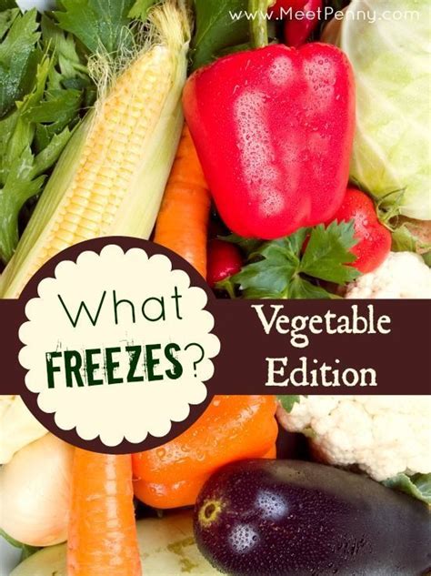 Long List Of Vegetables That You Can Freeze And How To Do It Frozen