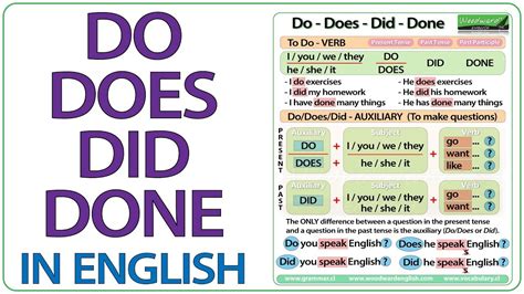Do Does Did Done English Grammar Lesson การใช้ Do Does Did Done