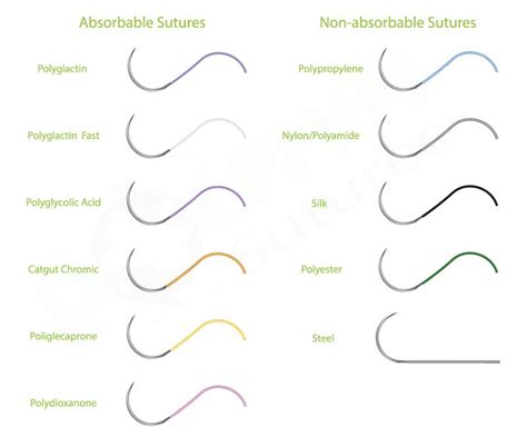 Sutures Can Be Divided Into Two Types Absorbable And Non Absorbable