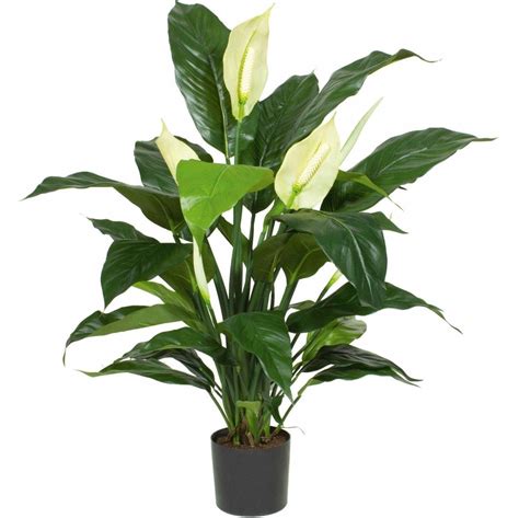 Artificial Spathiphyllum Peace Lilly Deluxe 60 Ascend Plant Displays