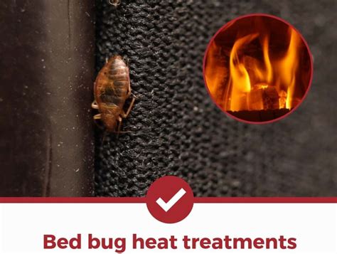 What You Need To Know About Bed Bug Heat Treatment Akcp