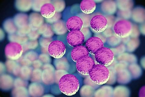 Superbugs Could Cost Us100 Trillion And Millions Of Lives Globally