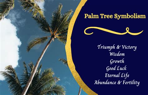 Palm Tree Meaning And Symbolism Symbol Sage