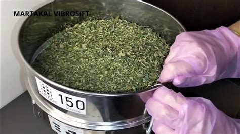 🌼 Mastering Dry Sift Kief And Resin With Martakal Vibrosift Ultimate Solventless Extraction