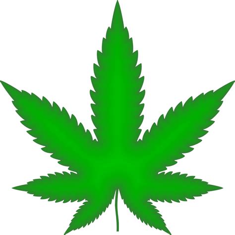 Maconha Drogas Cannabis Gr Fico Vetorial Gr Tis No Pixabay Pixabay