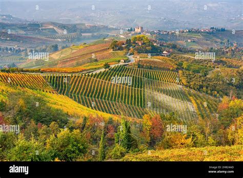Beautiful Hills And Vineyards During Fall Season Surrounding Grinzane