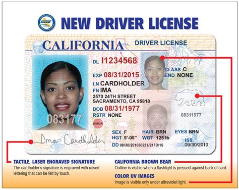 New California Driver Licenses Darleeneisms