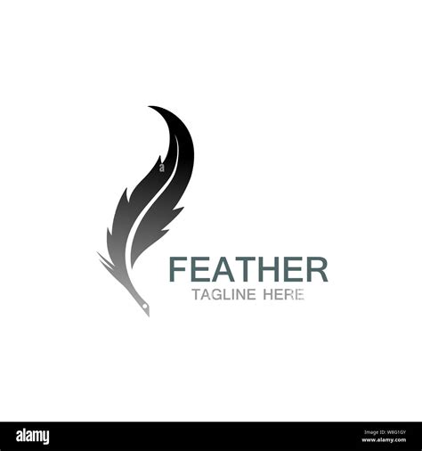 Feather Logo Vector Template Stock Vector Image And Art Alamy
