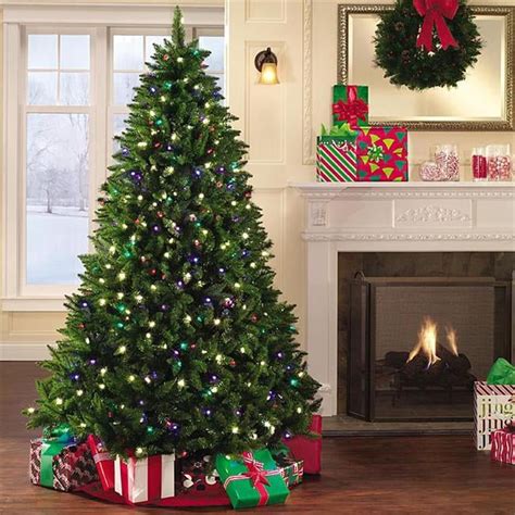 Birddog Cdt 22180cw 6 Ft Pre Lit Led Christmas Trees Premium Douglas
