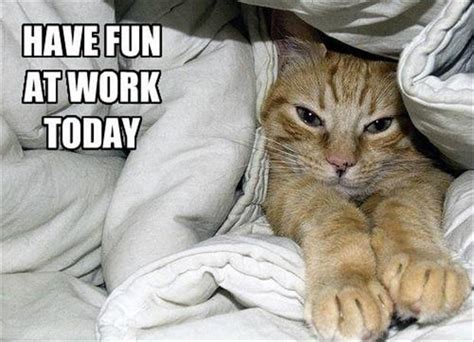 Have Fun At Work Today Picture Quotes