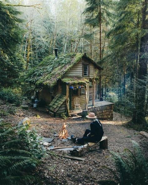 These Fascinating Cabins Look Magical In The Woods 45 Pics Anyhug