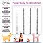 Fromm Puppy Food Chart