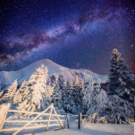 Magical Winter Landscape Carpathians Ukraine Europe Stock Photo