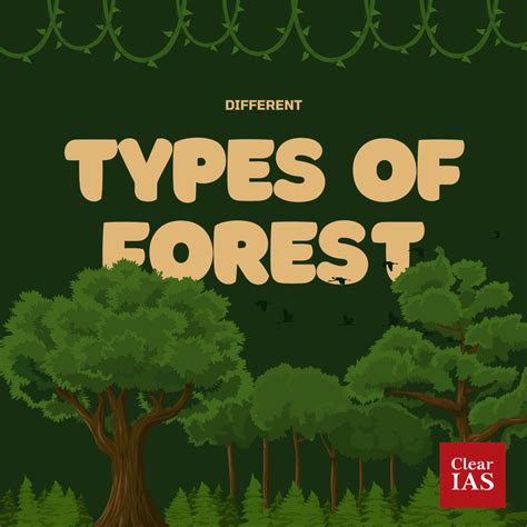 Forest Know The Different Types Clearias