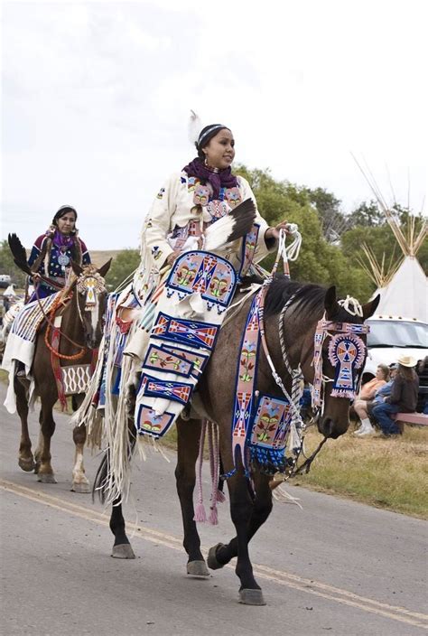 Traditional Crow Tack Native American Horses Native American