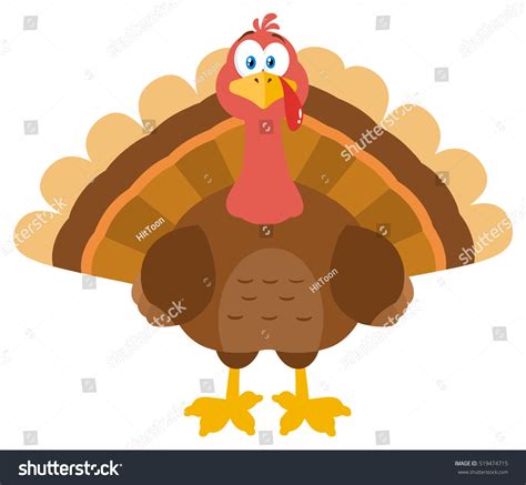 Thanksgiving Turkey Bird Cartoon Mascot Character Stock Vector Royalty