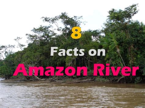 8 facts on amazon river