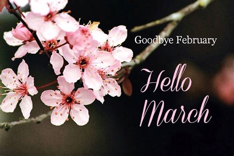 Goodbye February Hello March Hello March Hello March Quotes