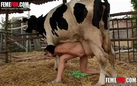 Slut Milks A Cow And Sprays The Cows Milk On Her Big Tits Free
