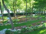 Images of Wooded Backyard Landscaping Ideas
