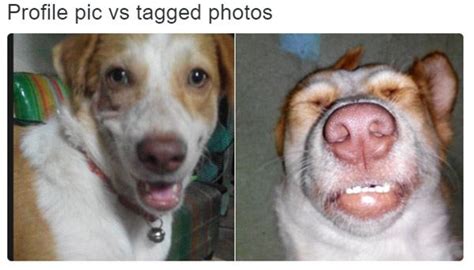 34 Memes That Capture The Struggle Of Profile Vs Tagged Photos