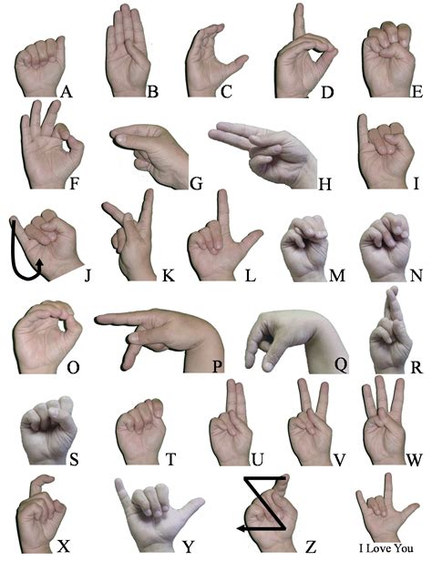 Routine Life Measurements Sign Language Basic Hands Signals Baby Asl And Bsl