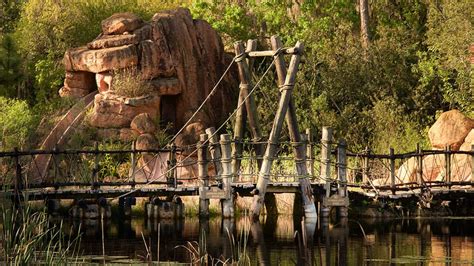 Eerie Abandoned Disney Water Park Where Boy Was Killed Has Been Left To