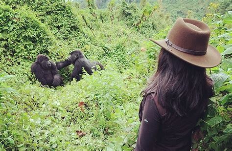 9 Tips For Eco Friendly Gorilla Trek Traveller Notes