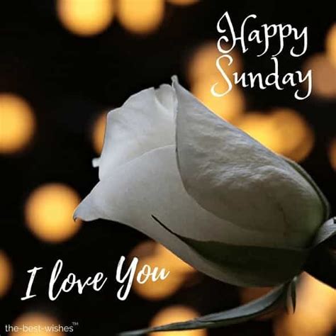 Happy Sunday Wishes To My Love