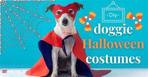 Diy Doggy Halloween Costumes Sit Means Sit Dog Training Middle