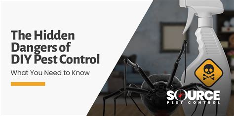 The Hidden Dangers Of Diy Pest Control What You Need To Know