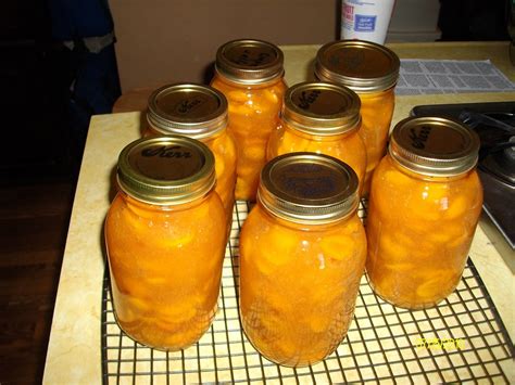 Doing My Best For Him Apricot Pie Filling