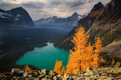 Lake Ohara By David Swindler On 500px A Small Group Of Colorful Larch