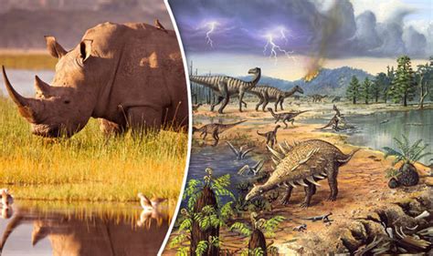 New Mass Extinction Is Underway That Could Wipe Out Worlds Species