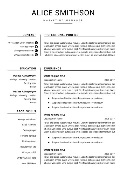 50 One Page Professional Resume Examples For Your Application
