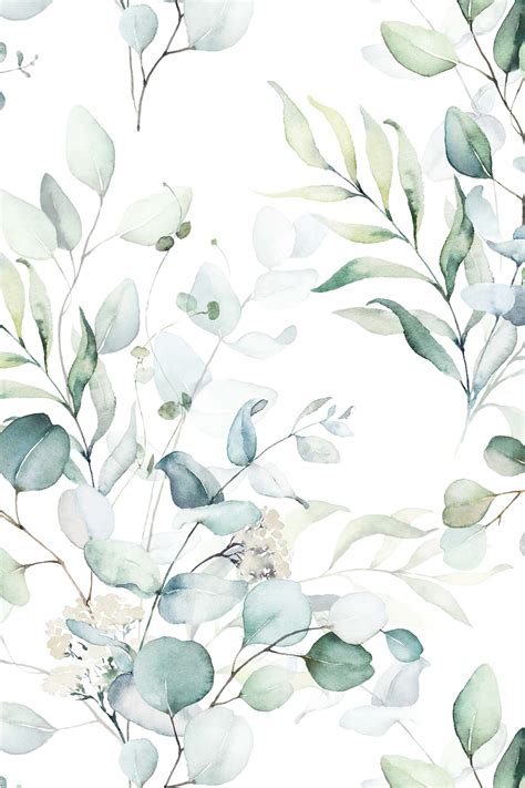 Design Eucalyptus Leaves Botanical Design Floral Boho Watercolor