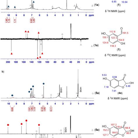 Nmr Data Of Compound A In Dmso D A Hmbc Spectrum Showing H Apt