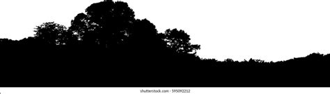 103 Treeline Transparent Images Stock Photos And Vectors Shutterstock