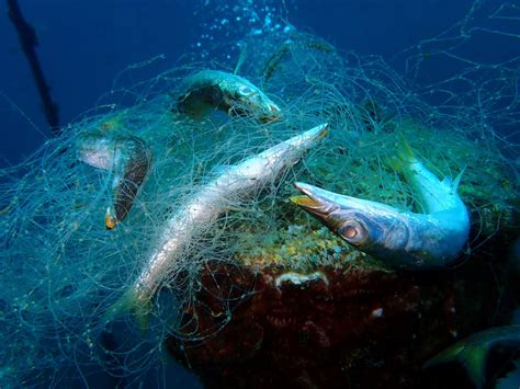 How Can Fishing Nets Be Recycled Engineer Live