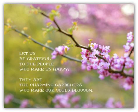 Springtime Quotes Inspirational Quotesgram