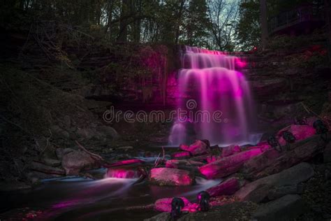 Waterfall Illuminated In Pink Stock Photo Image Of Trees Park 60463688