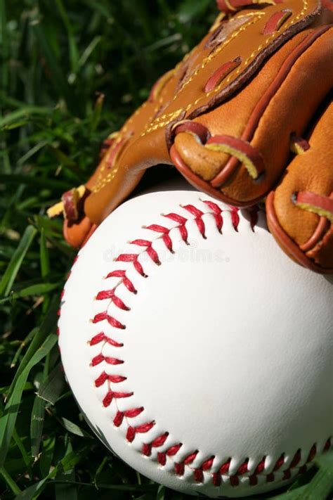 Baseball And Glove Stock Photo Image Of Field Brown Outfield 771492