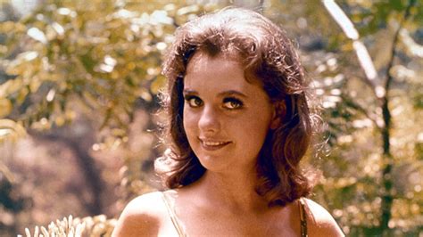 Hollywood Pays Tribute To Beloved Gilligans Island Actress Dawn Wells